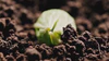 Purity From Soil To Shelf